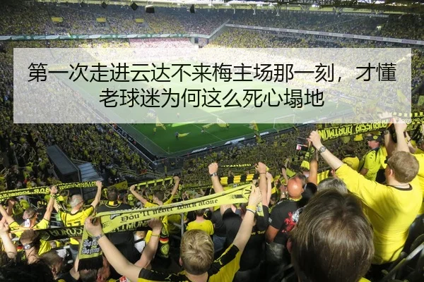 第一次走进云达不来梅主场那一刻，才懂老球迷为何这么死心塌地