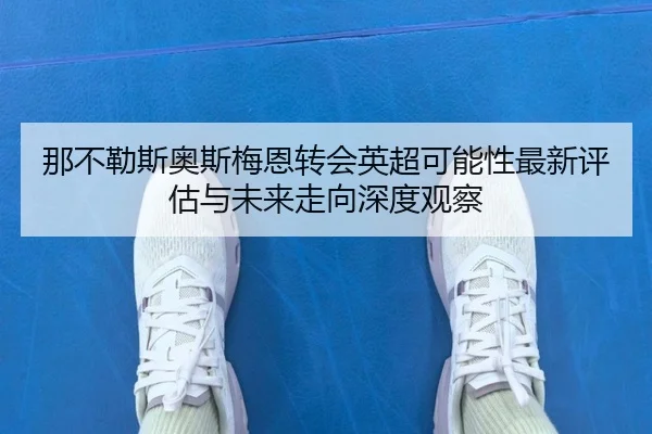 na-bu-le-si-ao-si-mei-en-zhuan-hui-ying-chao-ke-neng-xing-zui-xin-ping-gu-yu-wei-lai-zou-xiang-shen-du-guan-cha-2-420.jpg