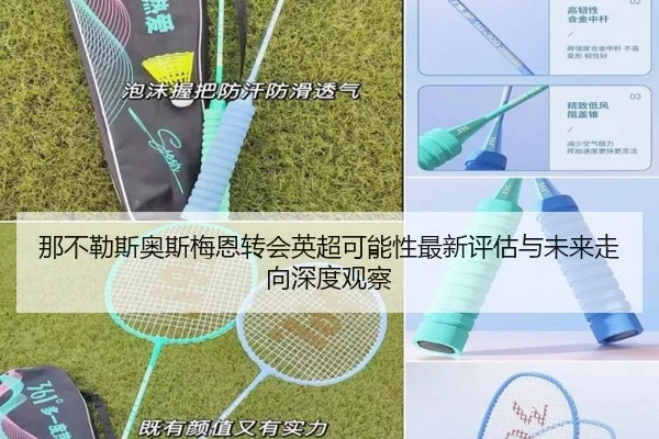 那不勒斯奥斯梅恩转会英超可能性最新评估与未来走向深度观察
