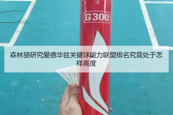 森林狼研究爱德华兹关键球能力联盟排名究竟处于怎样高度