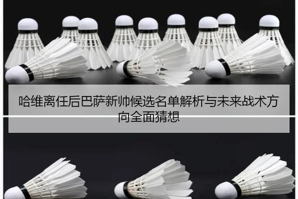 哈维离任后巴萨新帅候选名单解析与未来战术方向全面猜想