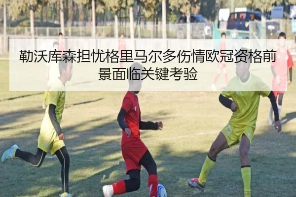 勒沃库森担忧格里马尔多伤情欧冠资格前景面临关键考验