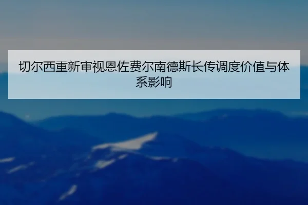 切尔西重新审视恩佐费尔南德斯长传调度价值与体系影响