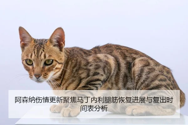 阿森纳伤情更新聚焦马丁内利腿筋恢复进展与复出时间表分析